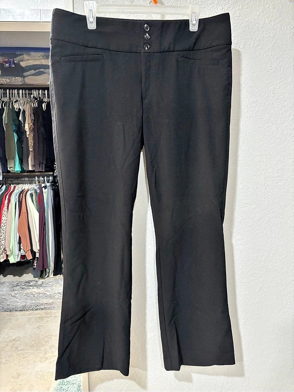 Hollywood Bootcut Pants with Button/Zipper Waist in 15 Short